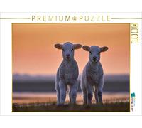 CALVENDO Puzzle Lamm-Zwillinge vor Abendhimmel 1000 Teile Puzzle quer 1000 Pieces 64 x 48 cm from Bodo Balzer