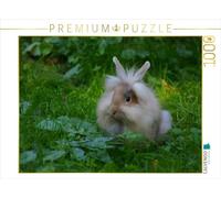 CALVENDO Puzzle Langhaar Zwergkaninchen 1000 Teile Puzzle quer 1000 Pieces 64 x 48 cm from Kattobello