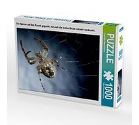 CALVENDO Puzzle L'araignée regardée sur Le Ventre, s'est Rapidement imprimée la délicieuse Proie de 1000 pièces de Taille 64 x 48 cm Photo Puzzle Image de Carl-Peter Herbolzheimer