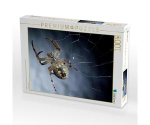 CALVENDO Puzzle L'araignée regardée sur Le Ventre, s'est Rapidement imprimée la délicieuse Proie de 1000 pièces de Taille 64 x 48 cm Photo Puzzle Image de Carl-Peter Herbolzheimer