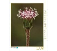 CALVENDO Puzzle lattis Alpin Vert 1000 pièces Taille 48 x 64 cm Photo Puzzle Image de Hernegger Arnold Joseph