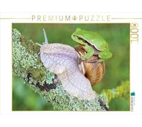 CALVENDO Puzzle Laubfrosch/Weinbergschnecke 1000 Teile Puzzle quer 1000 Pieces 64 x 48 cm from Klaus Feske