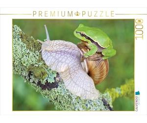 CALVENDO Puzzle Laubfrosch/Weinbergschnecke 1000 Teile Puzzle quer 1000 Pieces 64 x 48 cm from Klaus Feske