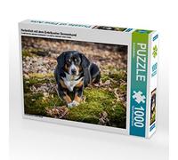 CALVENDO Puzzle L'automne avec Le Chien de Montagne Entelbucher 1000 Pieces 64 x 48 cm from SchnelleWelten