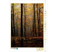 CALVENDO Puzzle L'automne dans la forêt 1000 Pieces 48 x 64 cm from Martina Cross
