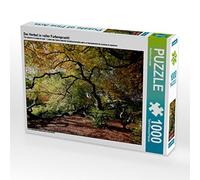 CALVENDO Puzzle L'automne dans Toute sa splendeur de Couleurs 1000 Pieces 64 x 48 cm from Bernhard Loewa