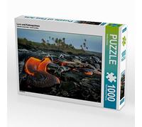 CALVENDO Puzzle Lave et cocotiers 1000 Pieces 64 x 48 cm from Florian Krauss