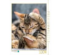 CALVENDO Puzzle Le Baiser 1000 Pieces 48 x 64 cm from Samashy