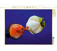 CALVENDO Puzzle Le Baiser du Disque 1000 Pieces 64 x 48 cm from Heike Hultsch