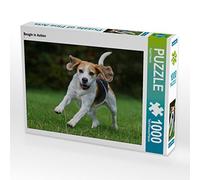 CALVENDO Puzzle Le Beagle en Action 1000 Pieces 64 x 48 cm from Sista-Tierfoto