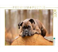 CALVENDO Puzzle Le Boxeur et Le Bois du Temps | 1000 pièces 64 x 48 cm Photo Puzzle Heures Heures
