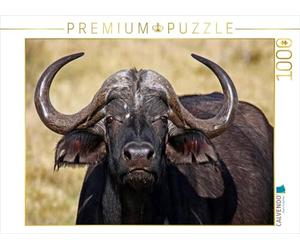 CALVENDO Puzzle Le Buffle du Cap en Afrique 1000 Pieces 64 x 48 cm from Wibke Woyke