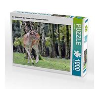 CALVENDO Puzzle Le cerf Sika - Le Petit Asiatique de nos forêts 1000 Pieces 64 x 48 cm from Arno Klatt