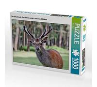 CALVENDO Puzzle Le cerf Sika - Le Petit Asiatique de nos forêts 1000 Pieces 64 x 48 cm from Arno Klatt