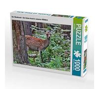 CALVENDO Puzzle Le cerf Sika - Le Petit Asiatique de nos forêts 1000 Pieces 64 x 48 cm from Arno Klatt
