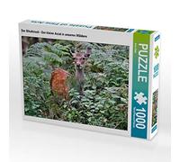 CALVENDO Puzzle Le cerf Sika - Le Petit Asiatique de nos forêts 1000 Pieces 64 x 48 cm from Arno Klatt