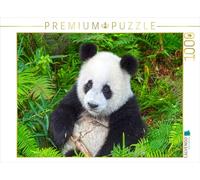 CALVENDO Puzzle Le Grand Panda Un Compagnon câlin 1000 Pieces 64 x 48 cm from Prime Selection Kalender