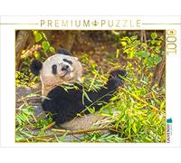 CALVENDO Puzzle Le Grand Panda Un Compagnon câlin 1000 Pieces 64 x 48 cm from Prime Selection Kalender