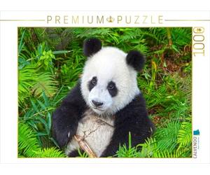 CALVENDO Puzzle Le Grand Panda Un Compagnon câlin 1000 Pieces 64 x 48 cm from Prime Selection Kalender