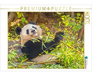 CALVENDO Puzzle Le Grand Panda Un Compagnon câlin 1000 Pieces 64 x 48 cm from Prime Selection Kalender