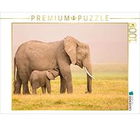 CALVENDO Puzzle Le Kenya Sauvage 1000 Pieces 64 x 48 cm from Martina Schikore