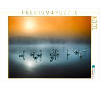 CALVENDO Puzzle Le lac des cygnes près de Teublitz 1000 Pieces 64 x 48 cm from Rudolf Rinner