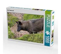 CALVENDO Puzzle Le Loup des Bois 1000 Pieces 64 x 48 cm from Arno Klatt