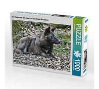 CALVENDO Puzzle Le Loup des Bois - Le Chasseur des Montagnes Rocheuses 1000 Pieces 64 x 48 cm from Arno Klatt