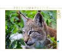 CALVENDO Puzzle Le Lynx 1000 Pieces 64 x 48 cm from Arno Klatt