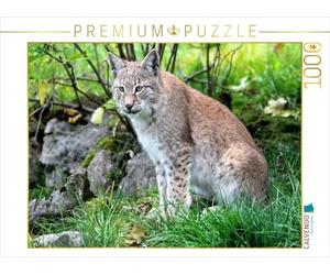 CALVENDO Puzzle Le Lynx - Le Chasseur aux Pattes silencieuses 1000 Pieces 64 x 48 cm from Arno Klatt