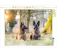 CALVENDO Puzzle Le Malinois - Un concentré d'énergie Belge 1000 Pieces 64 x 48 cm from Martina Wrede