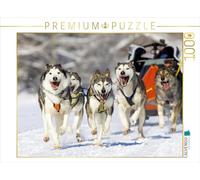 CALVENDO Puzzle Le musher Se réfugie dans Son traîneau pour alléger la Charge de Ses Chiens. 1000 Pieces 64 x 48 cm from Verlag