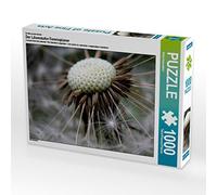 CALVENDO Puzzle Le planificateur Pissenlit 1000 Pieces 64 x 48 cm from Silvia Hahnefeld