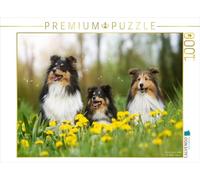 CALVENDO Puzzle Le Printemps en Approche 1000 Pieces 64 x 48 cm from Marion Reiß - Seibert