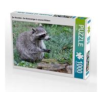 CALVENDO Puzzle Le Raton Laveur - Le Porteur de Masques dans nos forêts 1000 Pieces 64 x 48 cm from Arno Klatt