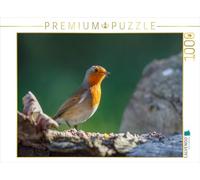 CALVENDO Puzzle Le Robin 1000 Pieces 64 x 48 cm from ropo13