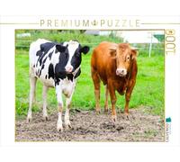 CALVENDO Puzzle Le Taureau Limousin Silas avec sa Femme 1000 Pieces 64 x 48 cm from JFP