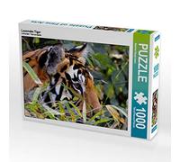CALVENDO Puzzle Le Tigre Qui rôde 1000 Pieces 64 x 48 cm from Manfred Bergermann
