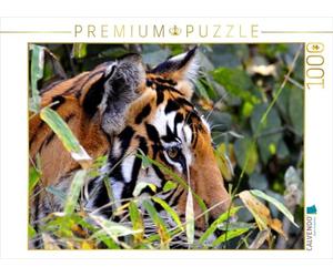 CALVENDO Puzzle Le Tigre Qui rôde 1000 Pieces 64 x 48 cm from Manfred Bergermann
