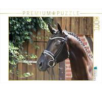 CALVENDO Puzzle Le Trakehner. Haute Noblesse de Prusse Orientale 1000 Pieces 64 x 48 cm from Monique Diesselhorst