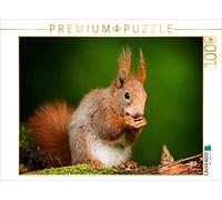CALVENDO Puzzle L'écureuil 1000 Pieces 64 x 48 cm from Björn Reibert