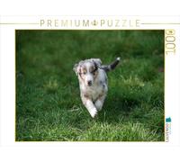CALVENDO Puzzle Leo 1000 Pieces 64 x 48 cm from Hermann Greiling