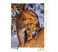 CALVENDO Puzzle Leopard | 1000 pieces, finished size 25.2 × 18.9 in (64 × 48 cm)