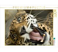 CALVENDO Puzzle Leopard | 1000 pieces, finished size 25.2 × 18.9 in (64 × 48 cm)