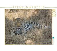 CALVENDO Puzzle Leopard 1000 Teile Puzzle quer 1000 Pieces 64 x 48 cm from Johann Schörkhuber