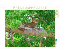CALVENDO Puzzle Léopard dans Un Arbre 1000 Pieces 64 x 48 cm from wkbilder