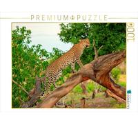 CALVENDO Puzzle Léopard en Chasse 1000 Pieces 64 x 48 cm from wkbilder