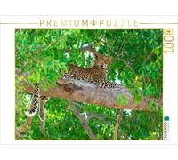 CALVENDO Puzzle Leopard in a tree | 1000 pieces, finished size 25.2 × 18.9 in (6