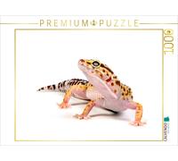 CALVENDO Puzzle Leopardgecko - Eublepharis macularius | 1000 pieces, finished si