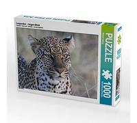 CALVENDO Puzzle Léopards - Coup d'œil 1000 Pieces 64 x 48 cm from Michael Herzog